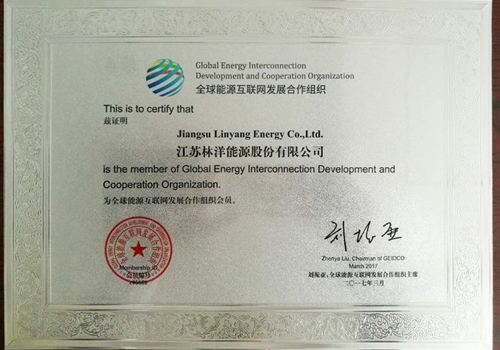 壹定发能源成为全球能源互联网生长相助组织会员