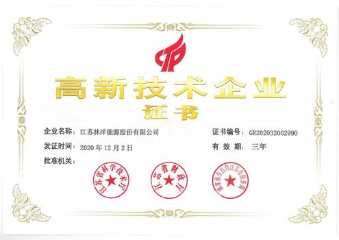 江苏省高新手艺企业