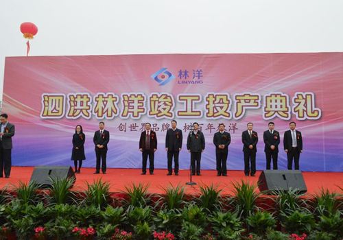 泗洪壹定发光伏科技有限公司完工投产